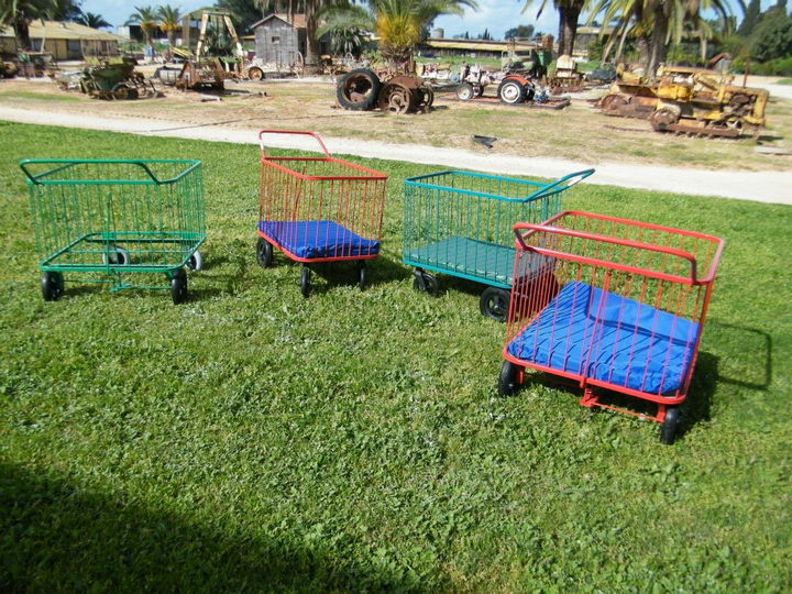 על הבדלים בין עגלולים